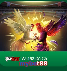 mybet88